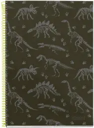 Imagen del producto 8422593464144