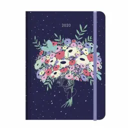 Imagen del producto 8422829627916