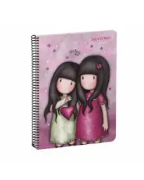 Imagen del producto 8422831327811