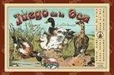 Imagen del producto 8422878805303