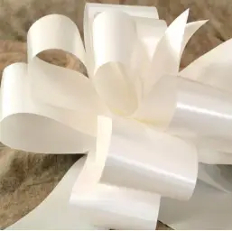 Imagen del producto 8422917018022