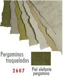 Imagen del producto 8422924555060