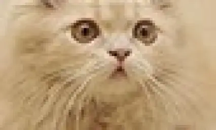 Imagen del producto 8422952122340