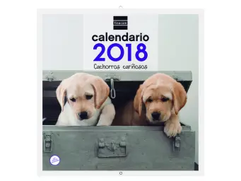 Imagen del producto 8422952154341