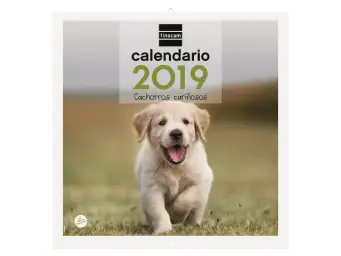 Imagen del producto 8422952173892