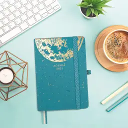 Imagen del producto 8422952305668