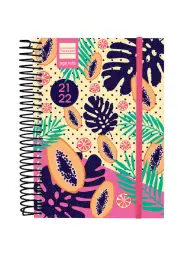 Imagen del producto 8422952315971