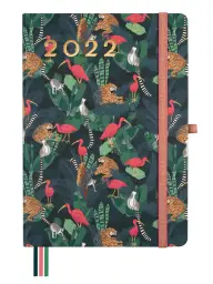 Imagen del producto 8422952324966