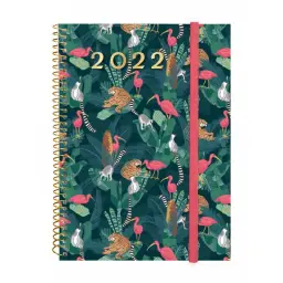 Imagen del producto 8422952326045