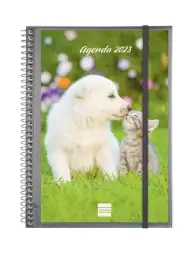 Imagen del producto 8422952350422