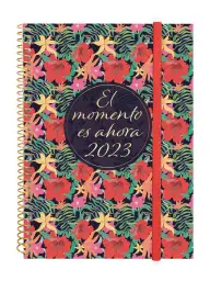 Imagen del producto 8422952351351