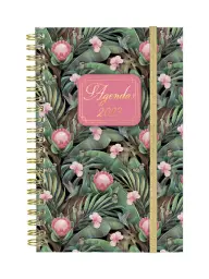 Imagen del producto 8422952351719