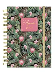 Imagen del producto 8422952351795