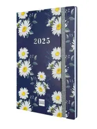 Imagen del producto 8422952377245