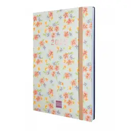 Imagen del producto 8422952377252