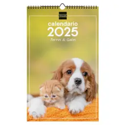 Imagen del producto 8422952382751