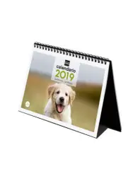 Imagen del producto 8422952402275