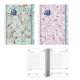 Imagen del producto 8427291019504