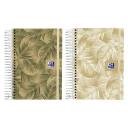 Imagen del producto 8427291022405