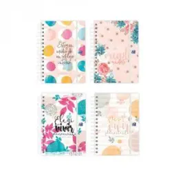 Imagen del producto 8427291022825