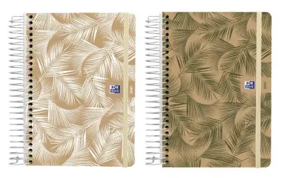 Imagen del producto 8427291023327