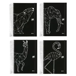 Imagen del producto 8427291023938