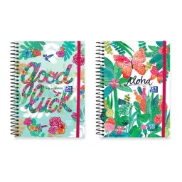 Imagen del producto 8427291024034