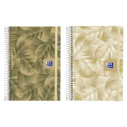 Imagen del producto 8427291024041