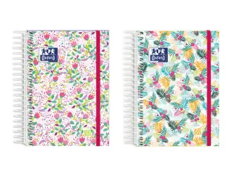 Imagen del producto 8427291027226