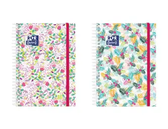 Imagen del producto 8427291027257