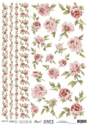 Imagen del producto 8434910000539