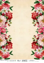 Imagen del producto 8434910014314