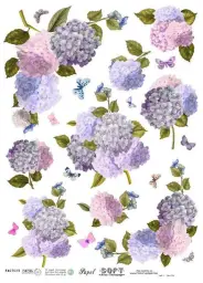 Imagen del producto 8434910014543