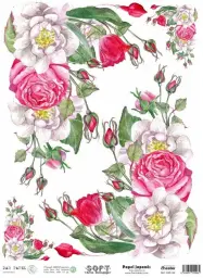 Imagen del producto 8434910015472