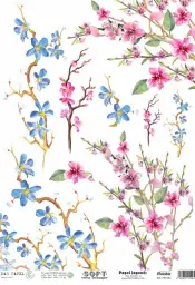 Imagen del producto 8434910015564