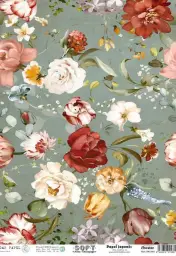 Imagen del producto 8434910015861