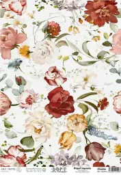 Imagen del producto 8434910015977