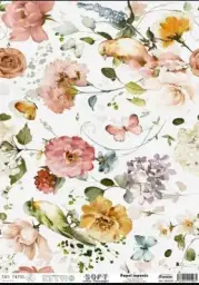 Imagen del producto 8434910015984