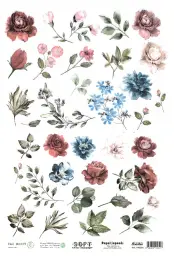 Imagen del producto 8434910016417