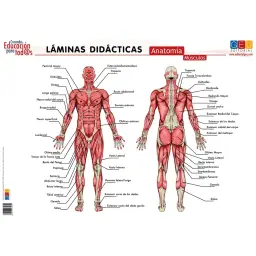Imagen del producto 8436548130251