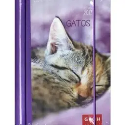 Imagen del producto 8437012673397