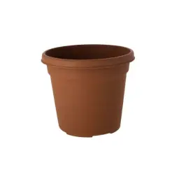 Imagen del producto 8445393116532