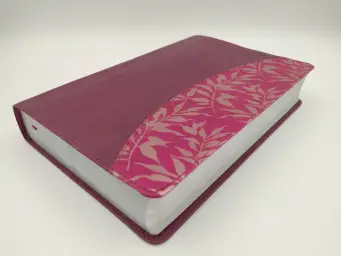 Imagen del producto 9781433618963