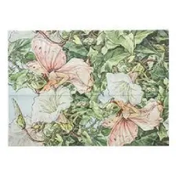 Imagen del producto 9781439799550