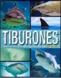 Imagen del producto 9781474816816