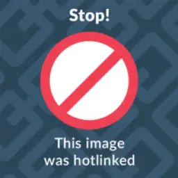 9781629988221
