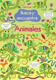 Imagen del producto 9781803707877