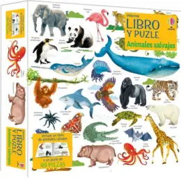 Imagen del producto 9781805313922