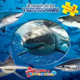 Imagen del producto 9782764379776