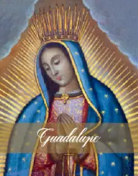 Imagen del producto 9786079695231